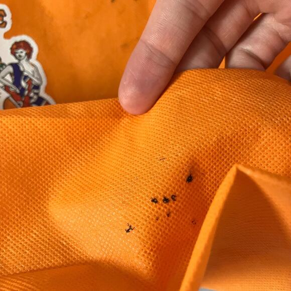 Orange Amplification Tote Bag 17x15 Logo Music Promo Slight Marks See Photos - Picture 15 of 16